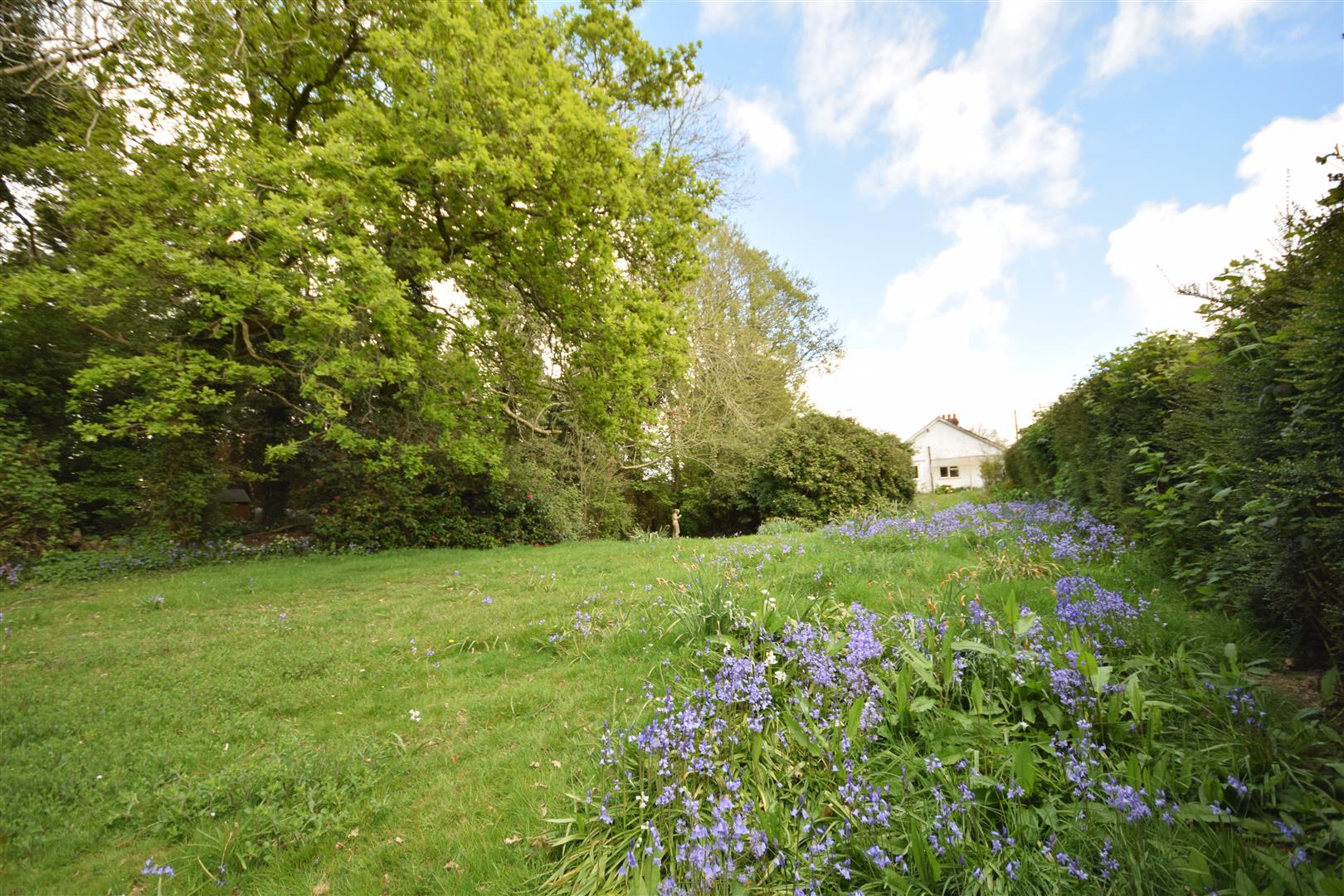 Road, Broad Oak, Rye Rush, Witt & Wilson